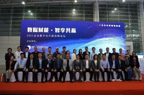 福建省信息技術(shù)咨詢服務(wù)行業(yè)協(xié)會會長陳維芳向全國人民拜新年