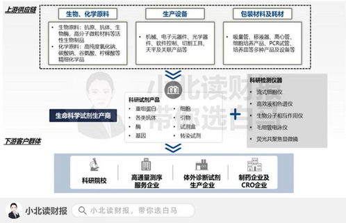 醫(yī)藥新興行業(yè) 信息技術(shù)咨詢服務(wù)的百億藍(lán)海市場與十倍增長機(jī)會(huì)