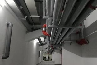 為科技創(chuàng)新點(diǎn)贊 公司成功舉辦機(jī)電安裝與BIM精品工程現(xiàn)場(chǎng)觀摩會(huì)，引領(lǐng)行業(yè)室內(nèi)外裝飾新高度